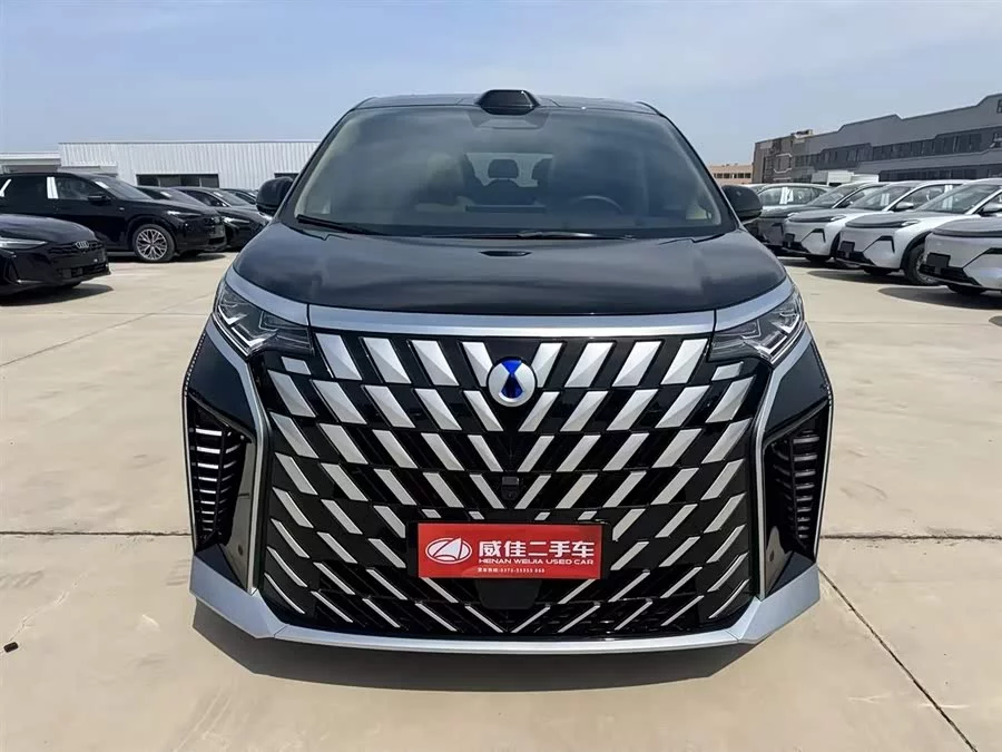 BYD D9
