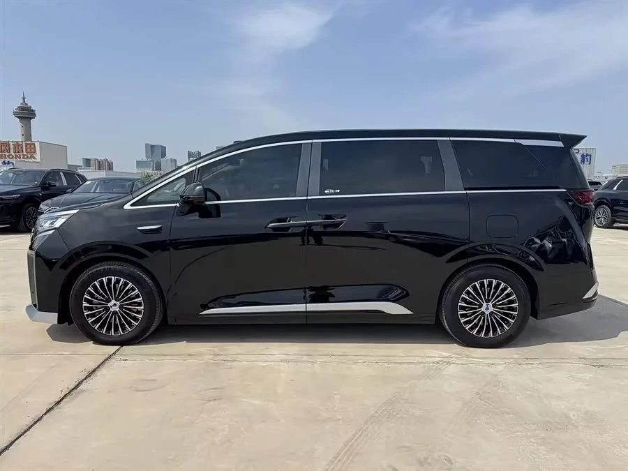 BYD D9