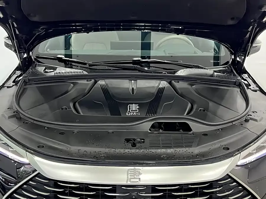 BYD Tang New Energy