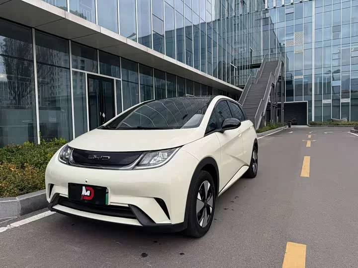 BYD dolphin