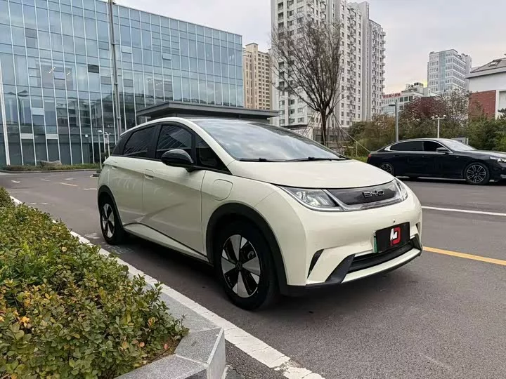 BYD dolphin