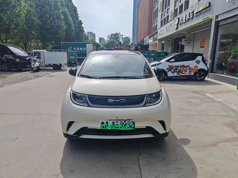 BYD Dolphin