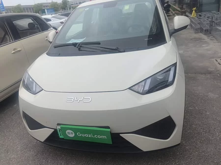 BYD Seagull