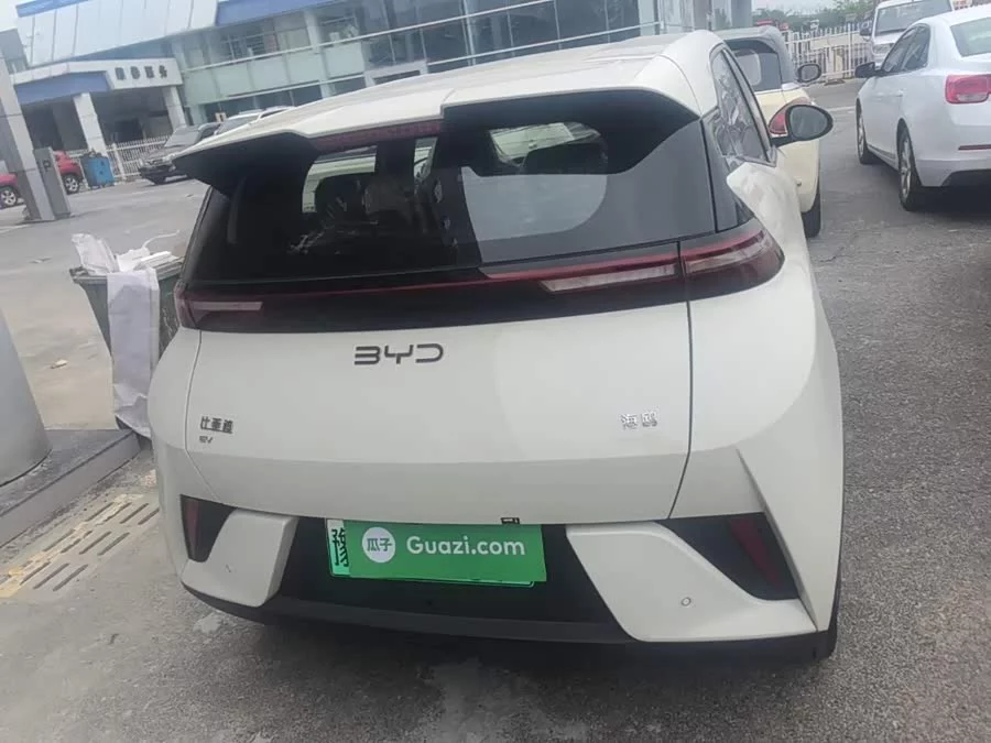 BYD Seagull