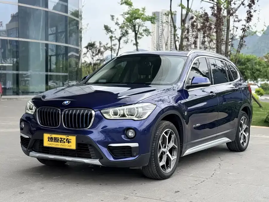 BMW X1 New Energy