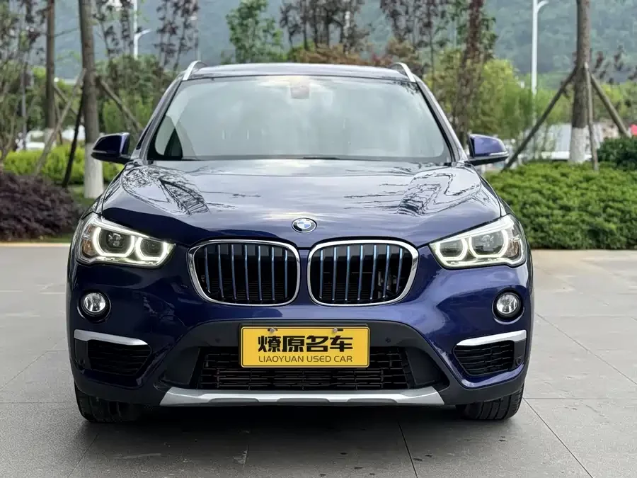 BMW X1 New Energy