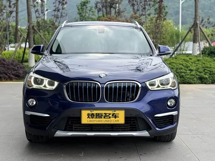 BMW X1 New Energy