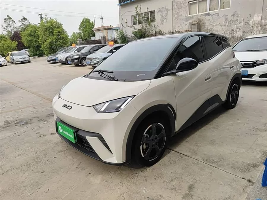 BYD Seagull