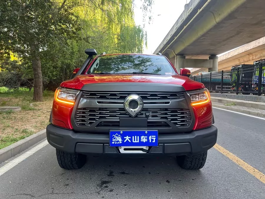 Great Wall gun