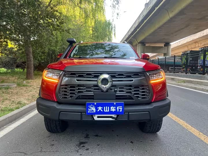 Great Wall gun