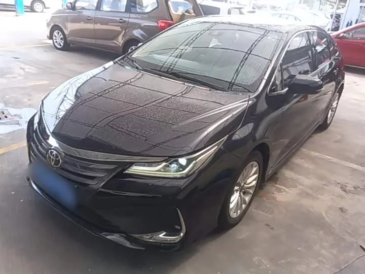 Toyota Asiatic lion