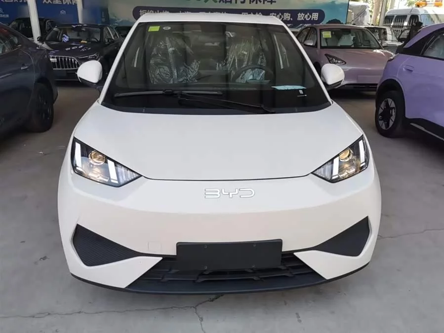 BYD Seagull