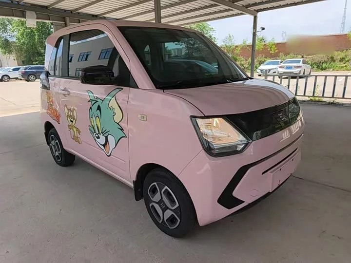 Dongfeng Scenery MINIEV