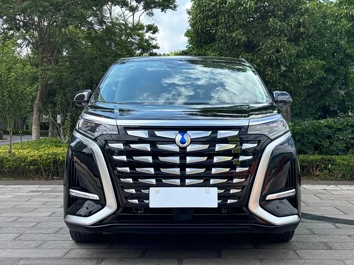 Denza D9