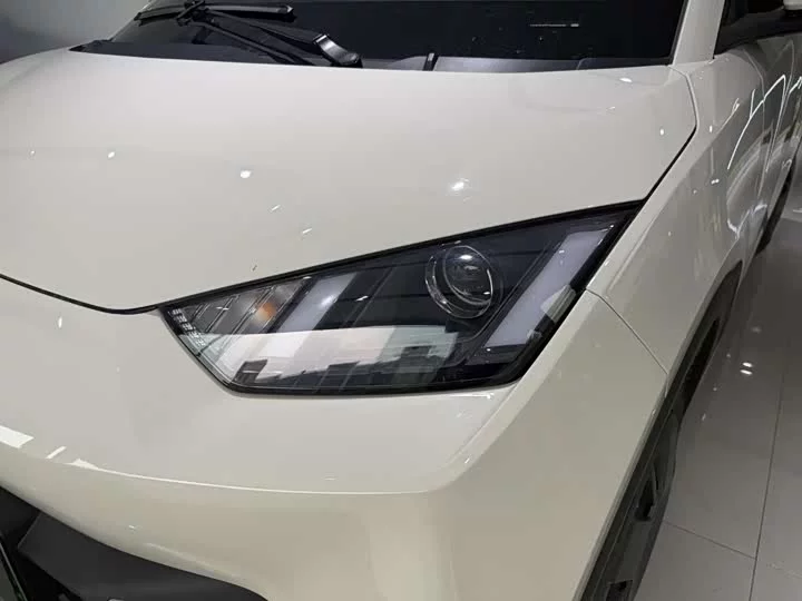 BYD seagull