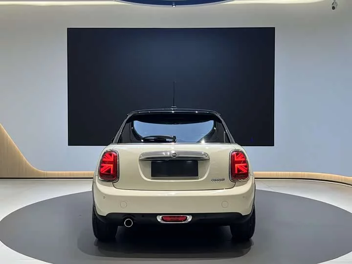 MINI 