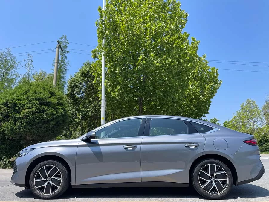 BYD Qin L