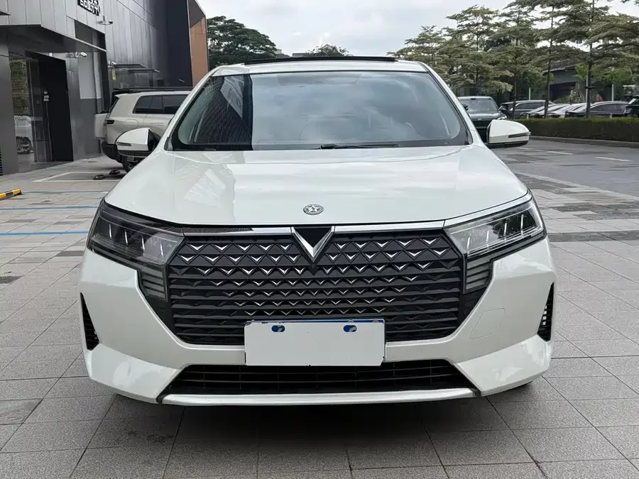 Venucia D60