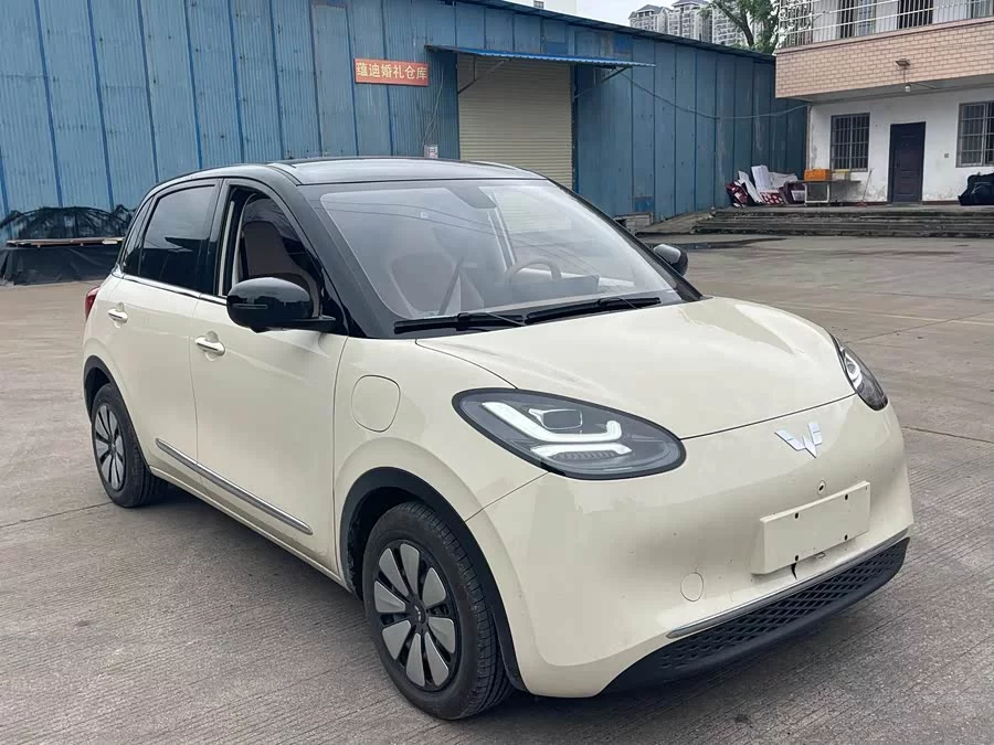 Wuling Bingo