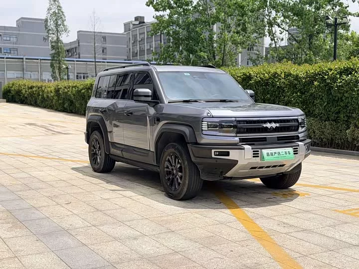 BYD Leopard Leopard 5