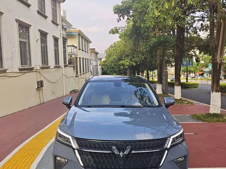 Wuling Star