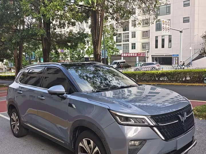 Wuling Star