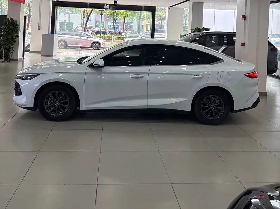 BYD Qin L