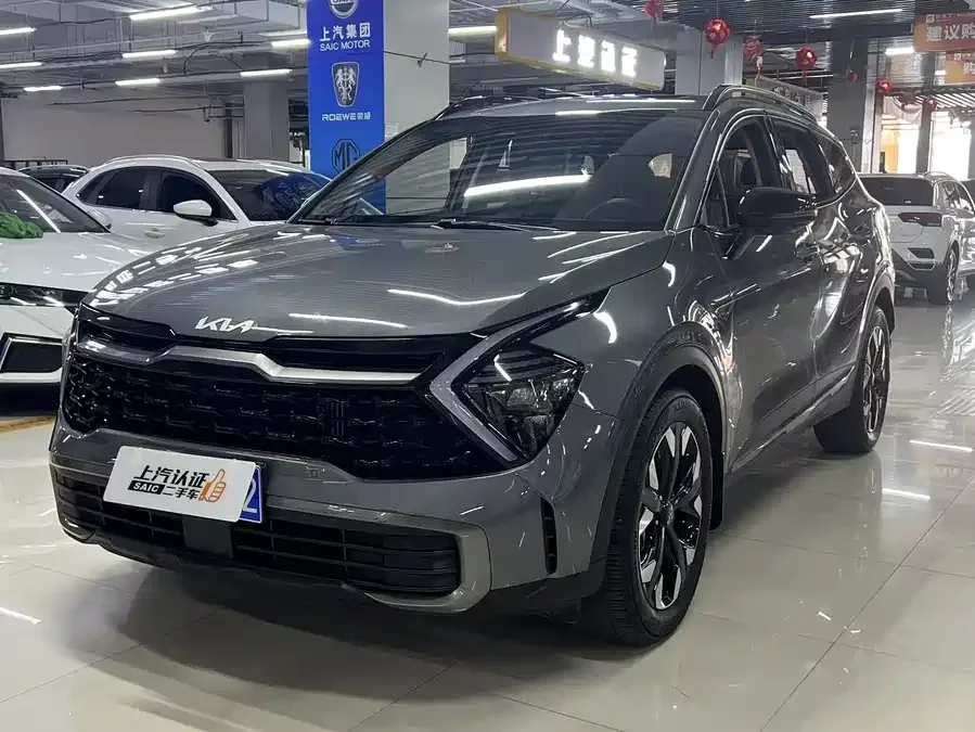 Kia Lion Platinum