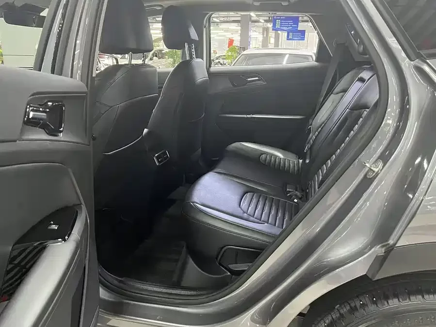 Kia Lion Platinum