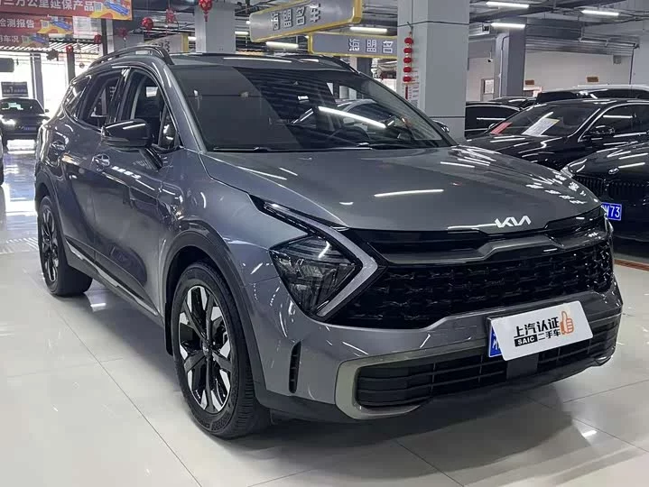 kia Lion Platinum Expands the Boundary