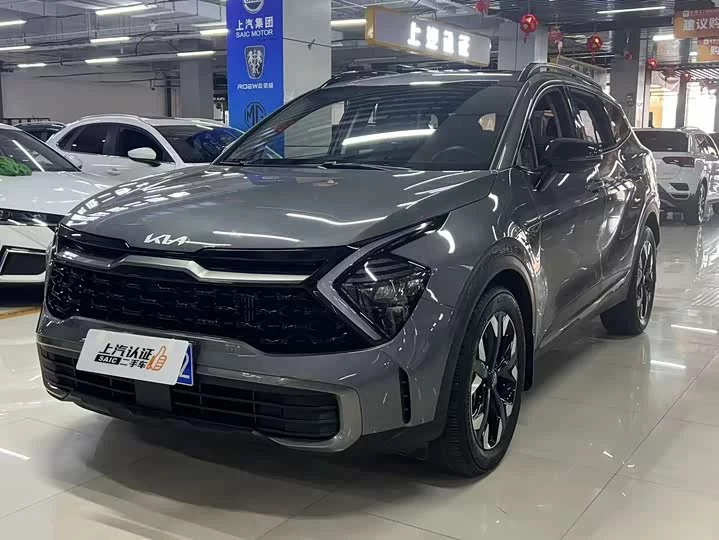 kia Lion Platinum Expands the Boundary