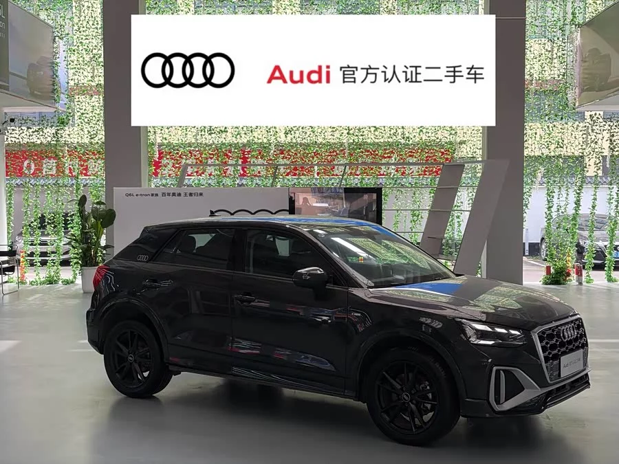 Audi Q2L