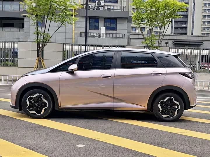 BYD dolphin