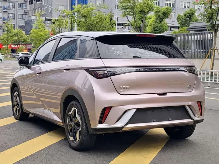BYD dolphin