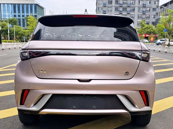 BYD dolphin
