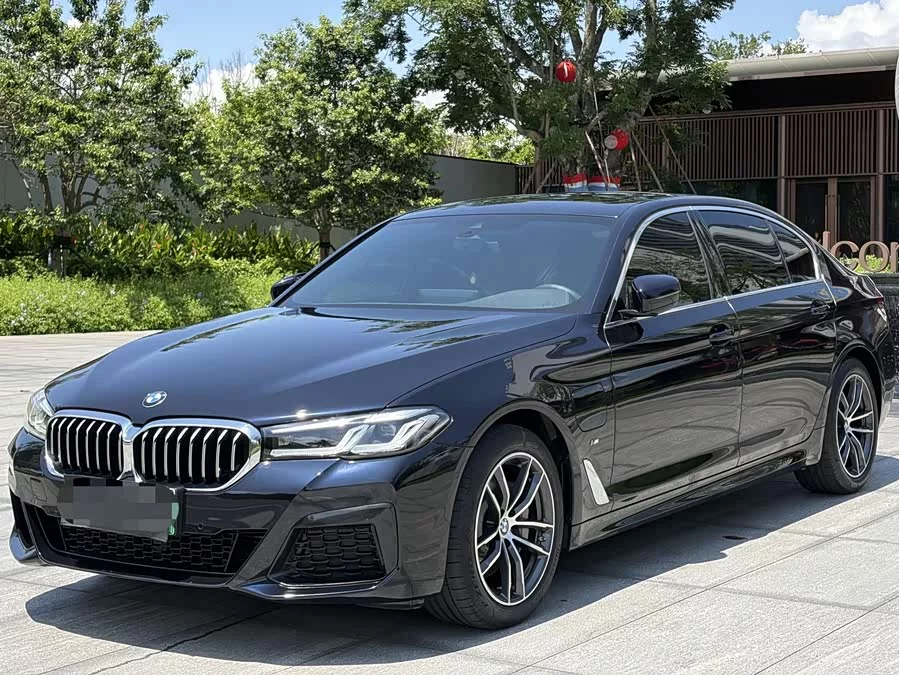 BMW 5 Series New Energy