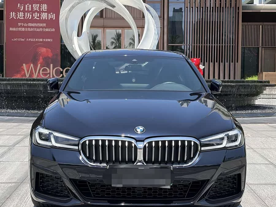 BMW 5 Series New Energy