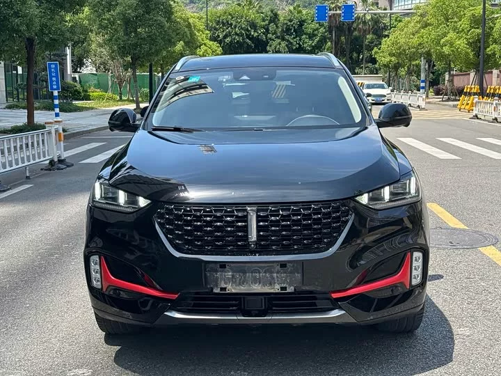 Wey VV6