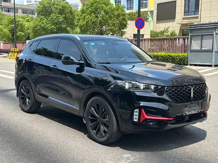 Wey VV6