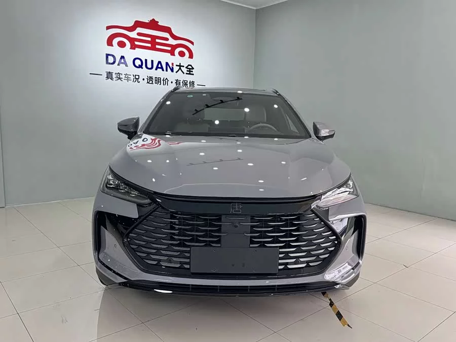 BYD Tang New Energy