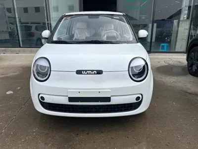 Changan Lumin