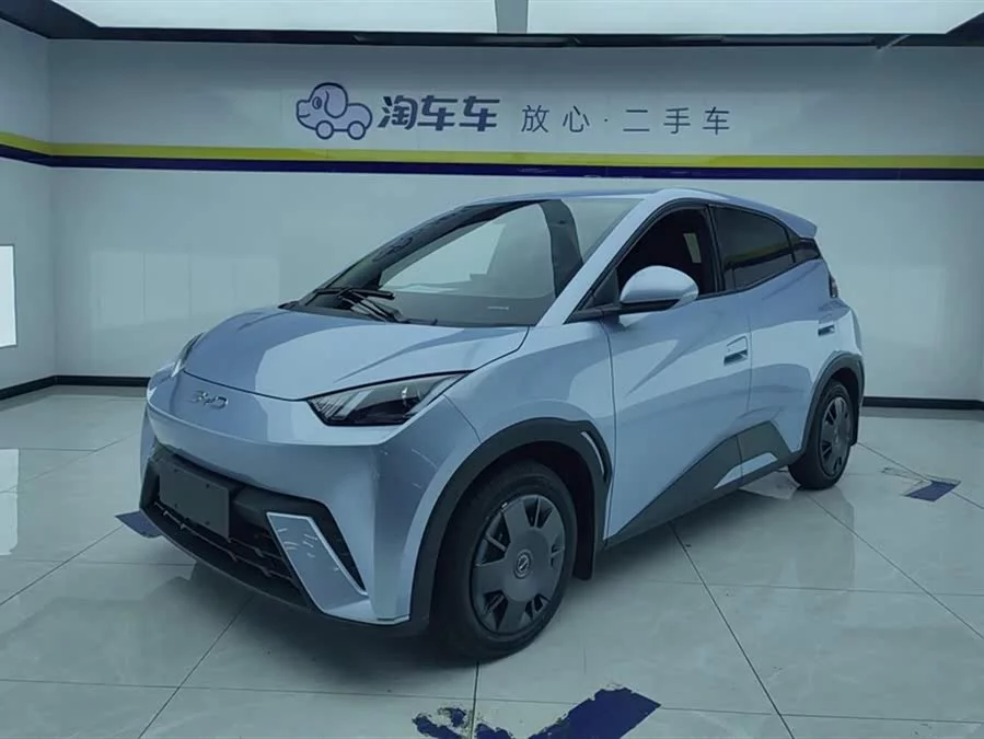 BYD Seagull