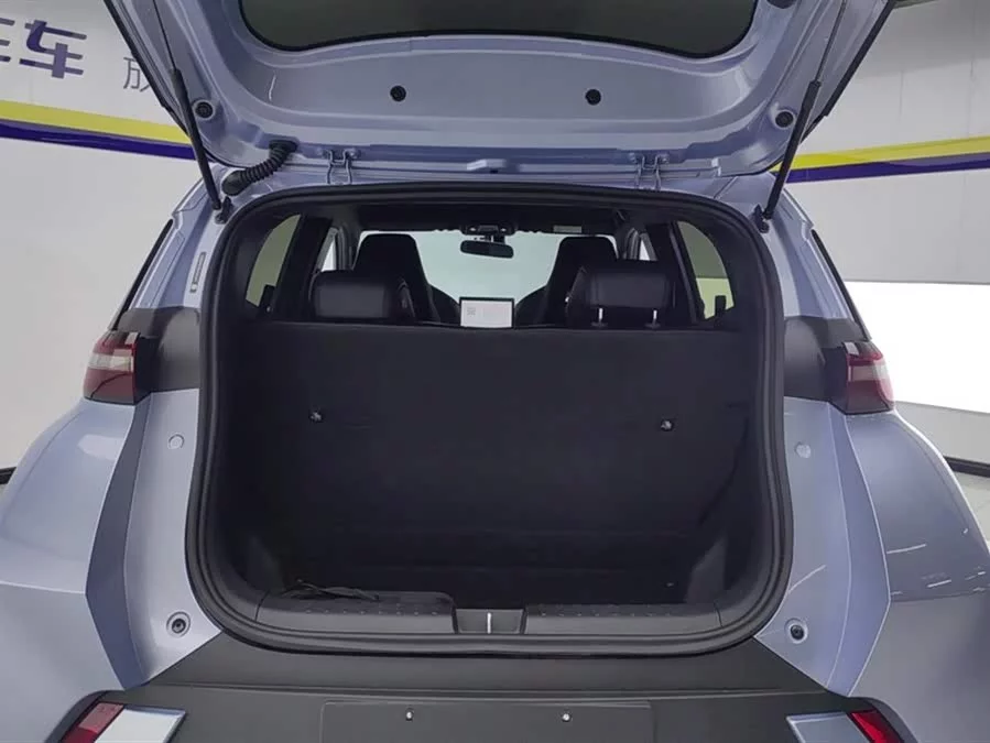 BYD Seagull
