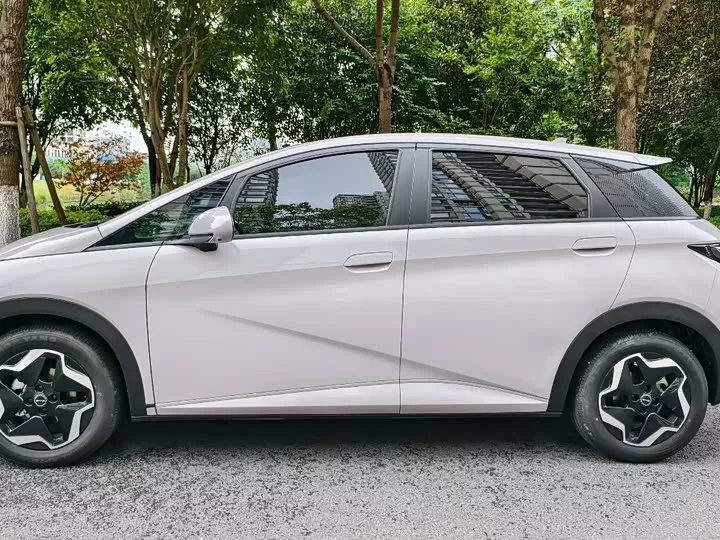 BYD dolphin