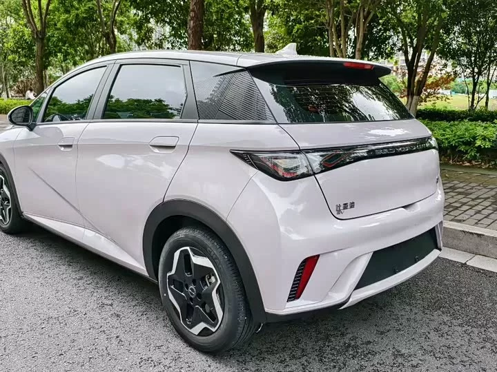 BYD dolphin