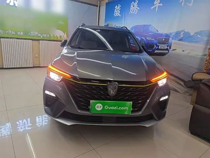 Roewe RX5 New Energy