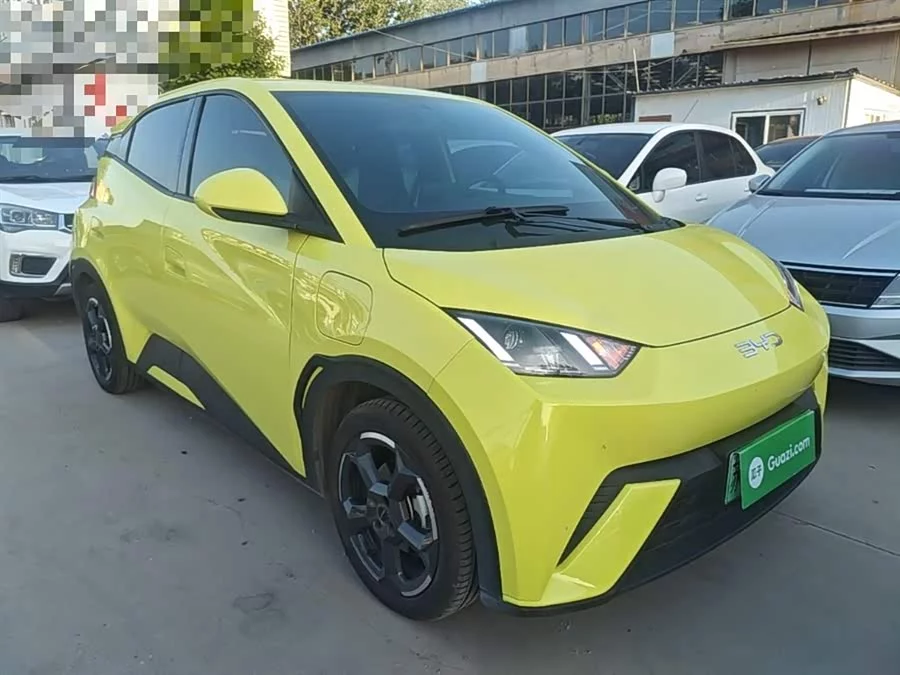 BYD Seagull