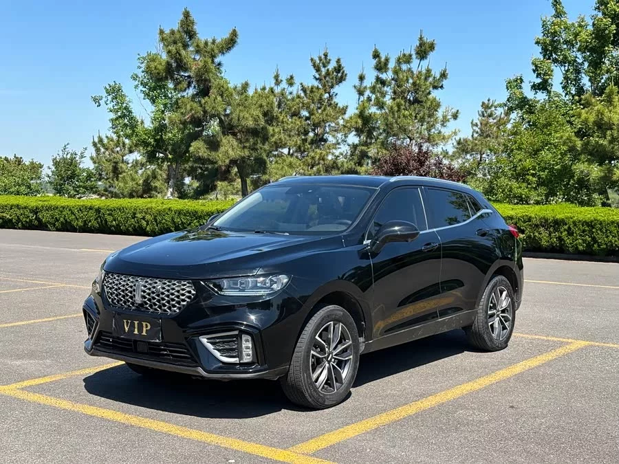 Wey VV5