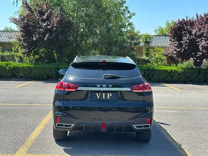 Wey VV5