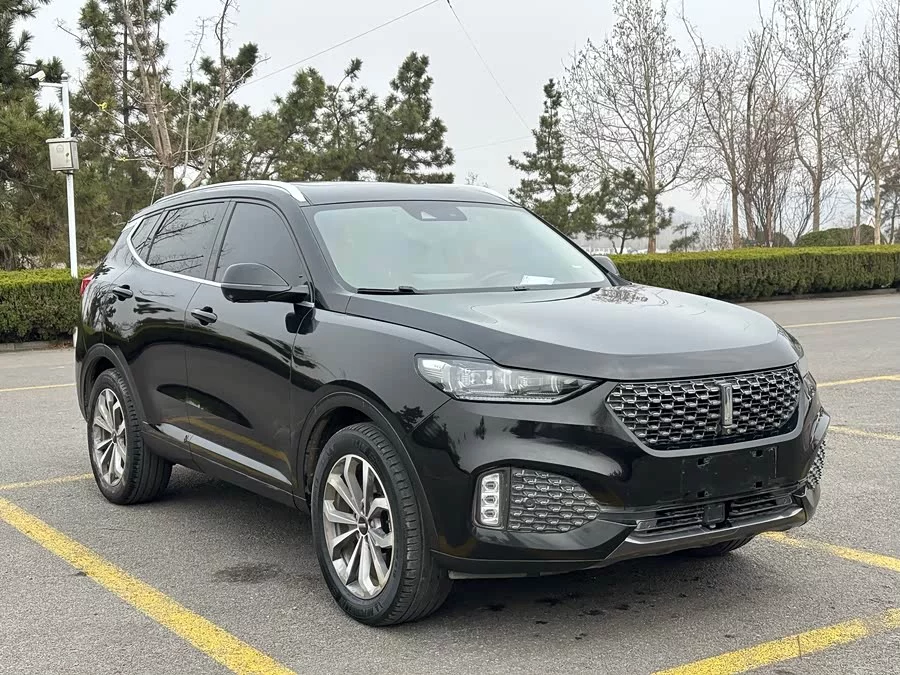 Wey VV6